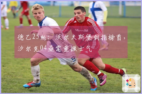 德乙25轮：沃尔夫斯堡剑指榜首，沙尔克04亟需重振士气